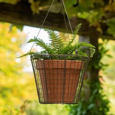 a hanging basket with plants in it