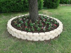 a tree in the middle of a flower bed