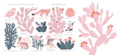 an illustration of corals and sea plants with different types of animals on them in pink