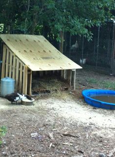 a dog laying on the ground in front of a wooden structure with a blue swimming pool