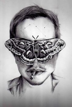 Disguise Art, Man Vs Nature, Moth Art Print, Animal Art Projects, Illusion Drawings, Moth Art, Sketch Style, Butterfly Drawing