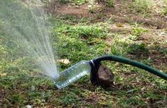 a water hose that is connected to a sprinkler on the ground with grass in the background