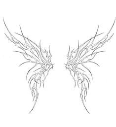 a drawing of two wings on a white background