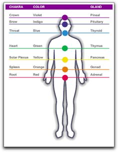 Chakras - Interesting look at strengths and self reflection #reflection #selfimprovement Adrenal Cortex, Rainbow Salad, Chakra Colors, Chakra System, Seven Chakras, Circulatory System, Endocrine System, Alternative Therapies, Chakra Meditation