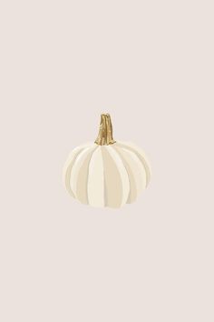 a white and gold striped pumpkin on a gray background