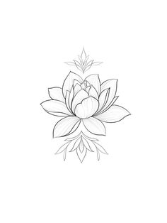 a black and white drawing of a lotus flower on a white background with the words, how to draw a lotus flower