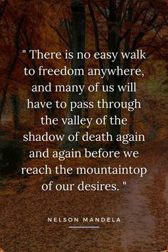 a quote from nelson mandela on the path to an autumn forest with trees and leaves