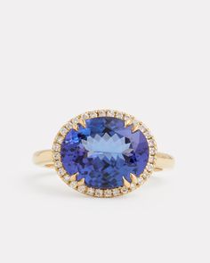 18K Yellow Gold Tanzanite Oval Ring with Pave Setting, .99 TCWOrnament is 5/8 Inch Long x 1/2 Inch Wide Style# YRPOTZW Senior Ring, Senior Rings, Tanzanite Jewelry, Tanzanite Diamond Ring, Tanzanite Diamond, Tanzanite Ring, Oval Ring, Oval Rings, Pave Setting