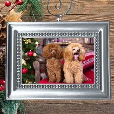 two poodles sitting in front of a christmas tree ornament on a wooden table