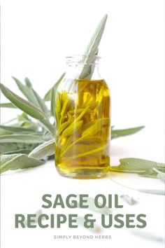 sage oil how to make Herbal Oil Recipes, Infused Oil Recipes, Sage Benefits, Medicinal Oils, Recipes For The Whole Family, Herbal Remedies Recipes, Essential Oils Herbs, Healthy Herbs