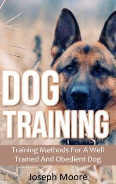 dog training training method for a well trained and obedient dog