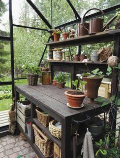 a potted plant sitting on top of a wooden shelf next to other pots and plants