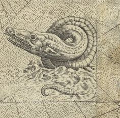 a drawing of a snake in the water