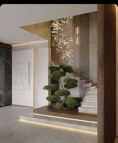 the stairs are decorated with plants and lit up by led lighting in this modern home