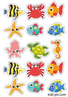 an image of sea animals cut outs