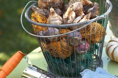 a basket filled with lots of mushrooms sitting on top of a table next to carrots