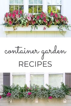 the words container garden recipes are in front of an image of windows with flowers on them