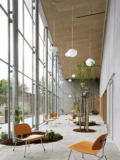 an empty room with several chairs and plants in the center, along with large windows