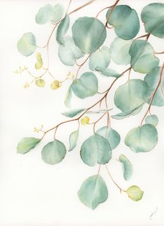 watercolor painting of green leaves on white paper