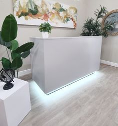 a white reception desk with plants in the corner and paintings on the wall behind it