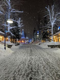 a snowy street with lights on trees and buildings in the background