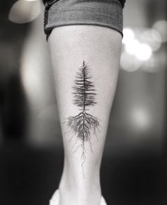 a small tree with roots on the lower leg is shown in this black and white photo