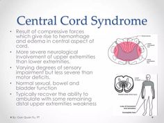 Spinal cord injury (sci) Rehab | PPT Struggle Bus