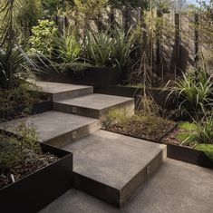 concrete steps lead up to an outdoor garden