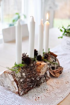 four white candles are placed in a log with moss and pine cones on the table