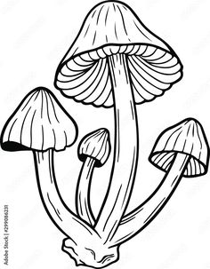 a black and white drawing of mushrooms