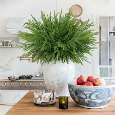 a plant in a white vase next to a blue and white bowl on a wooden table