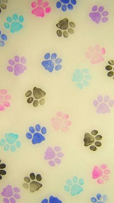 an image of dog paw prints on a white background with blue, pink and purple colors