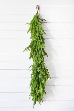 a bunch of green leaves hanging from a hook