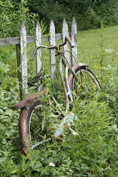 an old rusty bicycle is sitting in the grass near a fence and some bushes with weeds