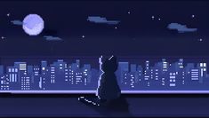 a cat sitting in front of a window looking at the night sky and city lights