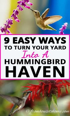 Attract Hummingbirds To Your Garden (10 Tips You Can Use In Your Yard) Beautiful Flowers Garden, Humming Bird Feeders, Landscaping Tips, Beautiful Backyards, Backyard Birds