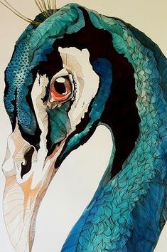 a painting of a peacock with blue feathers