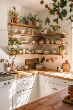 the kitchen is clean and ready to be used as a place for potted plants