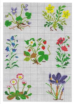 the cross stitch pattern shows different types of flowers