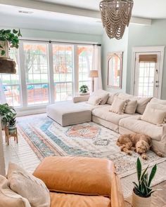 a living room filled with furniture and a dog laying on top of the couches