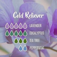 Essential Oils For Colds, Essential Oil Remedy, Young Living Essential Oils Recipes, Essential Oils Health, Oil Diffuser Recipes