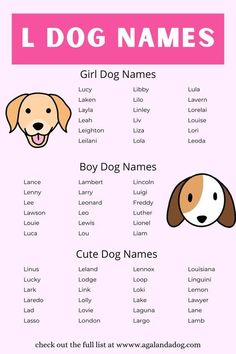 Dog Names Girl, Dogs Names List, Boy Dog Names, Girl Dog Names, Smartest Dog Breeds, Cute Names For Dogs, Names Cute, Names Girl