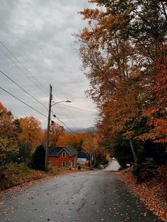 an empty road surrounded by trees with leaves on the ground and houses in the background