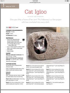 the article features a cat in a crocheted bed