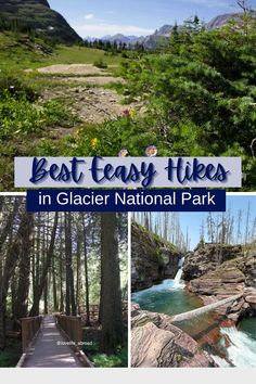 the best easy hikes in glacier national park with pictures of trees, water and mountains