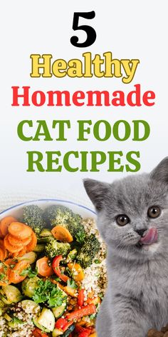 a gray cat sitting next to a bowl of food with the title 5 healthy homemade cat food recipes