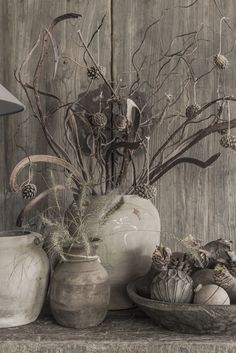 an assortment of vases and plants sit on a shelf