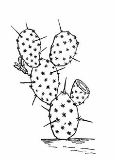 a drawing of a cactus with stars on it