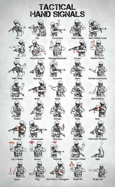 Swat Training, Military Alphabet, Close Combat, Materi Bahasa Jepang, Military Decor, Sign Language Alphabet, Hand Signals, Police Gifts, Military Mom