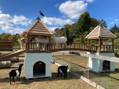 three goats are standing in their pen at the zoo